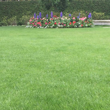 Gardens & Garden Paths