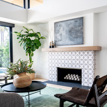 Contemporary Living Room