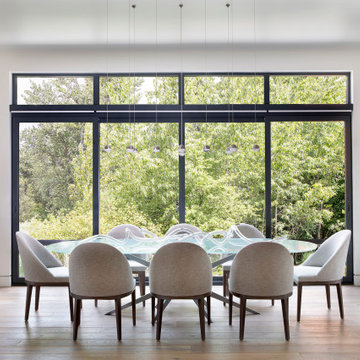 Lakeside Modern Contemporary Home