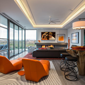 Contemporary Living Room
