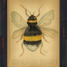 bumble bee
