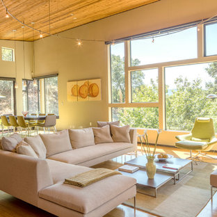 Split-Level Living Room Ideas & Photos | Houzz