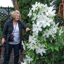 Plants/Flowers