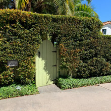 landscaping 2020