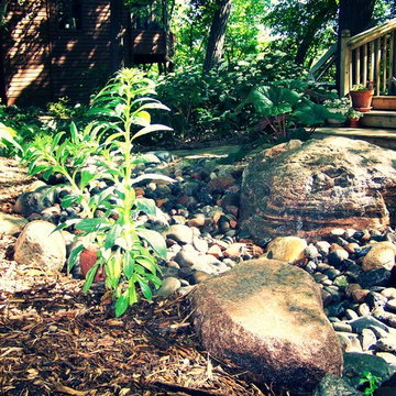 Ponds and Water Features