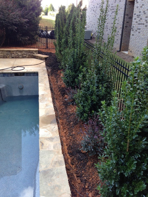 pool builder buford
