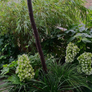 transformation d'un toit de garage en mini jardin suspendu au coeur du 10 ième