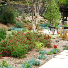 patio garden