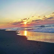 Lisa MacArthur's photo