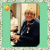 Lou Woolcott's photo