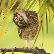 Jasmina Marjanovic's photo