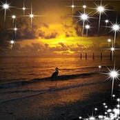 Sarah Pearsall's photo