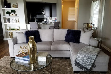 Example of a minimalist living room design in Austin