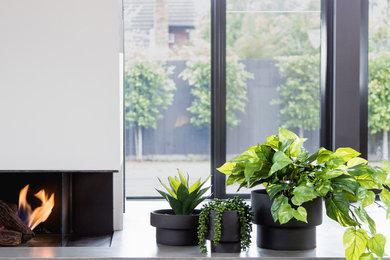 Designer Potted Faux Plants styled for today's contemporary urban interiors