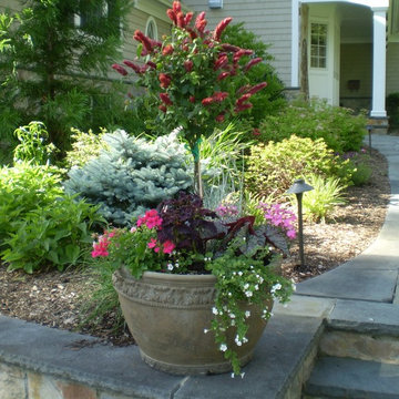 Flower Pot