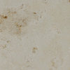 Jura Beige Limestone Tiles, Honed Finish, 4"x4" Sample
