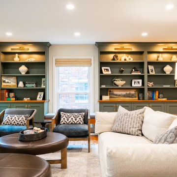 Mt. Prospect Project: Kitchen, Pantry, Bath & Living Room Built-ins