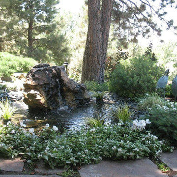 Water Features