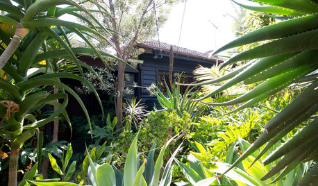 My Houzz：植物とアートと音楽に囲まれて暮らす、タスマニアの家