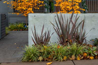 This is an example of a modern landscaping in Vancouver.
