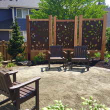 2019 back yard