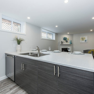 Glenview Heights Basement Apartment Conversion and Whole House Renovation
