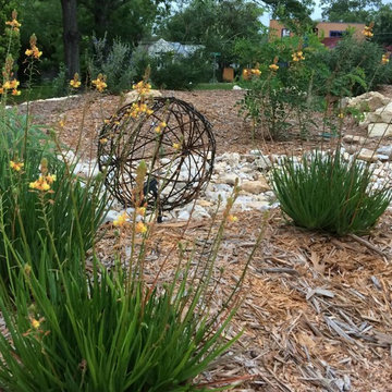 Xeriscape #2