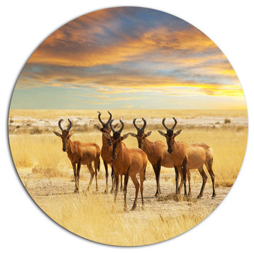 Herd Of Antelope In Grassland, African Disc Metal Artwork, 11"