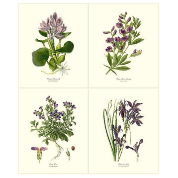 Lavender Flower Botanical Wall Art Prints. 4 Vintage Illustrations, Prints Only, 8x10