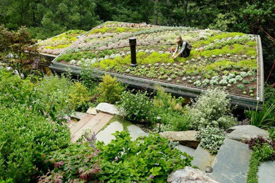 Inspiration for a landscaping in Seattle.