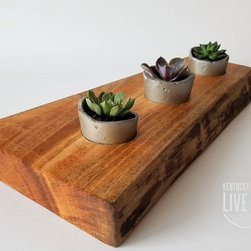 Live Edge Succulent Planters - Plate Stands And Hangers