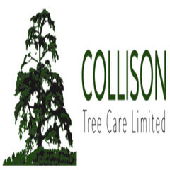 Collison Tree Care