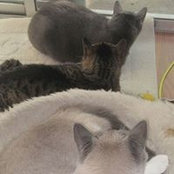 Sharon McKenna Sanders's photo