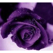 Christene Youngs foto