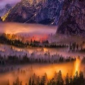 Stephanie Toth-Inglis's photo
