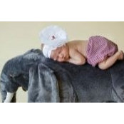 Jaime Tinkerさんの写真