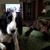 Jean Sheppard's photo