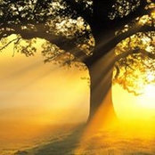 Tiago Cabrera's photo