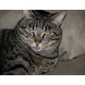 Kelley Kane's photo
