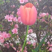 MariBeth Welch's photo