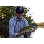 Hobson Browns billede