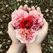 Emma Lam's photo
