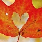 Melissa Ragan's photo