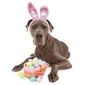 Kay Dement's photo
