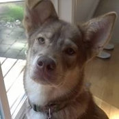 Kathleen Wallender's photo