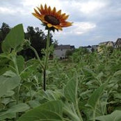 Joanne Lowry's photo