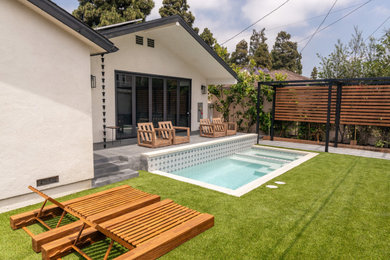 Example of a trendy pool design in Los Angeles
