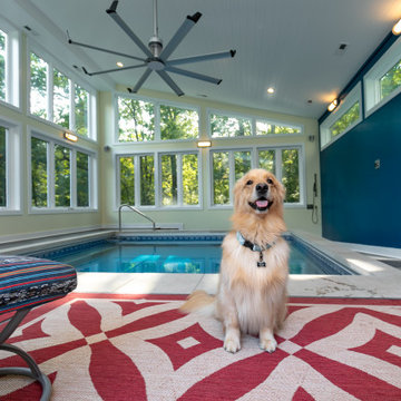 Indoor Spa and Pool Addition in Moseley