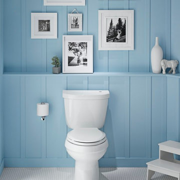 Kohler Toilet