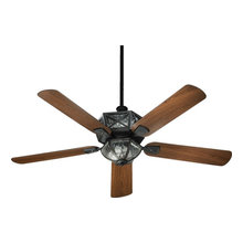 Screened Porch - Fan/light